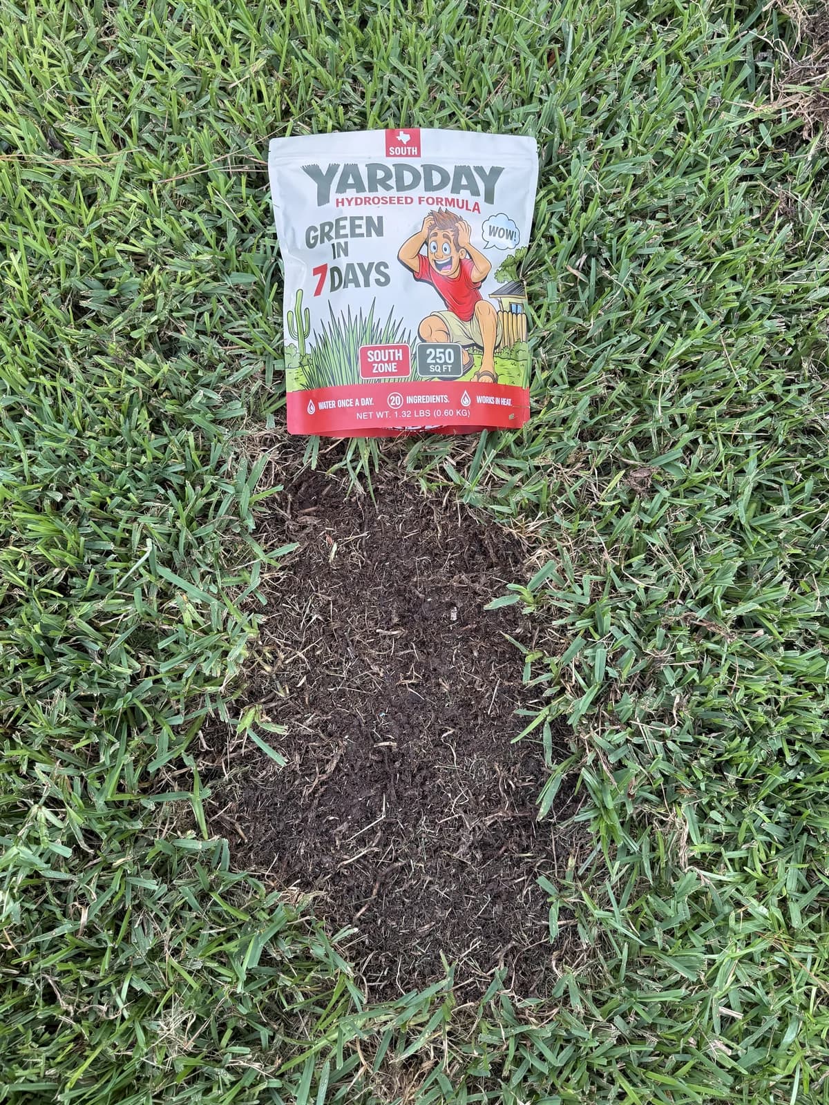 Day 0 real YardDay internal field photo after visible debris was removed from a bare patch