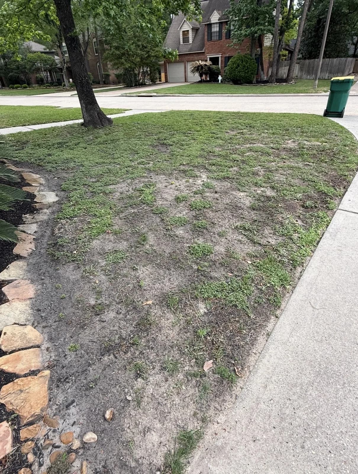 Real YardDay internal Day 0 photo of a bare area documented with tough compacted soil