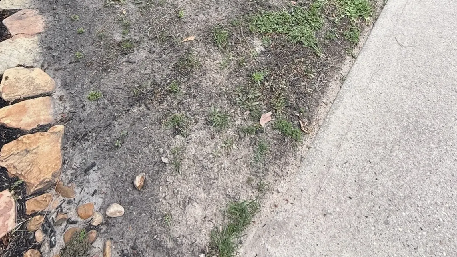 Real YardDay internal field photo of an irregular bare area in compacted soil before repair