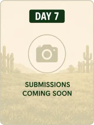 Day 7 YardDay customer result placeholder